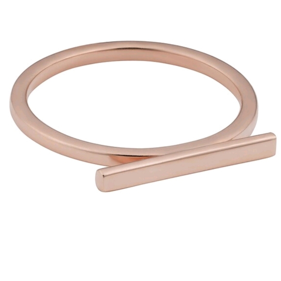Rose Gold Bar Ring and Earrings - Picture 1 of 8